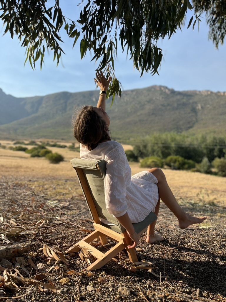 Beech folding chair with olive canvas
